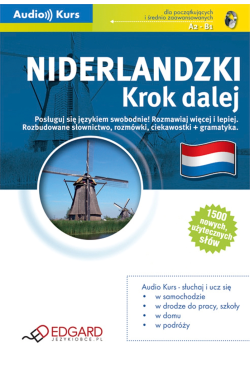 Niderlandzki. Krok dalej