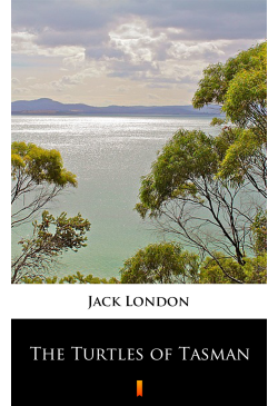 The Turtles of Tasman