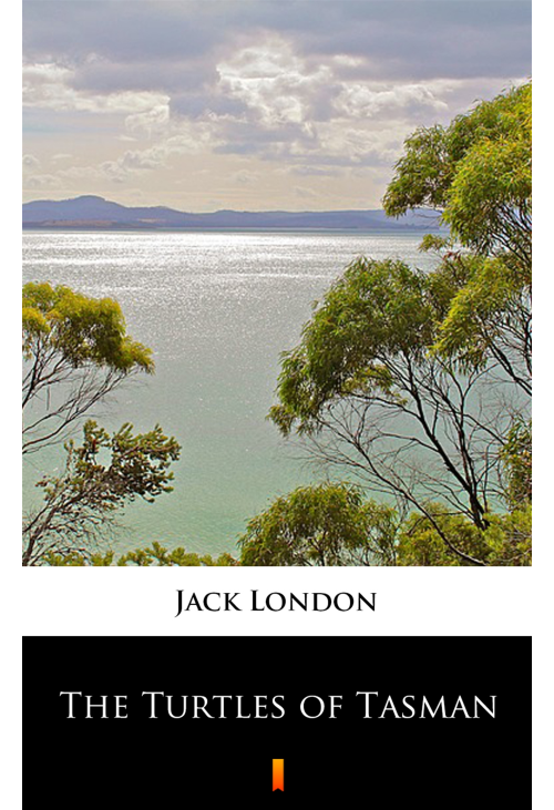 The Turtles of Tasman