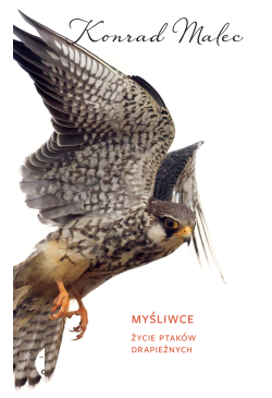 Myśliwce