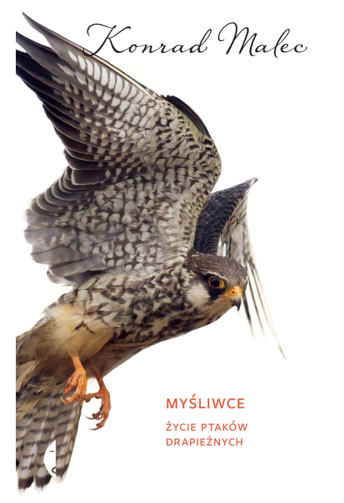 Myśliwce