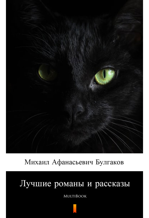 Лучшие романы и рассказы