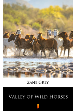 Valley of Wild Horses