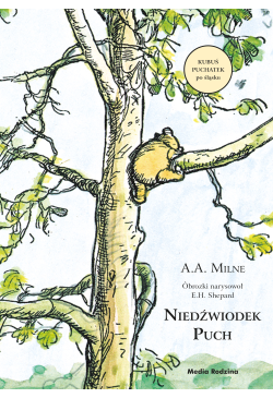 Niedźwiodek Puch