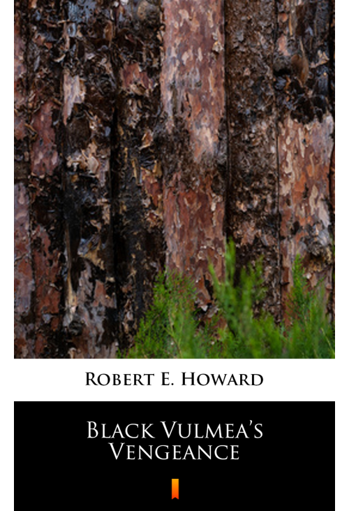Black Vulmea’s Vengeance