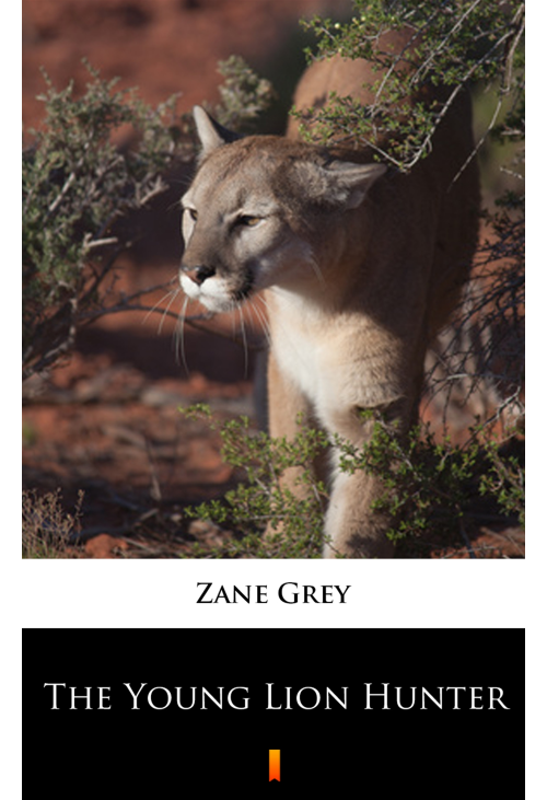 The Young Lion Hunter