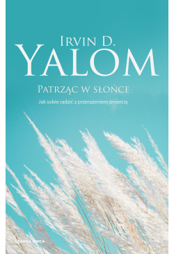 Patrząc w słońce