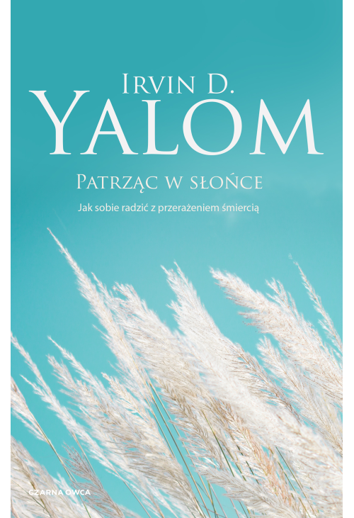 Patrząc w słońce