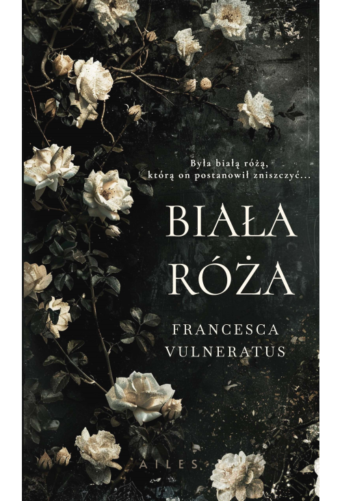 Biała róża