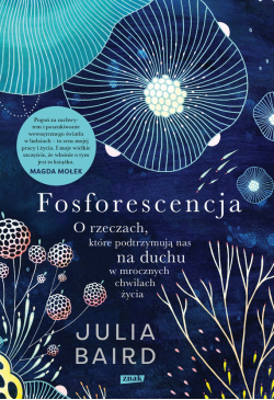 Fosforescencja. O rzeczach,...