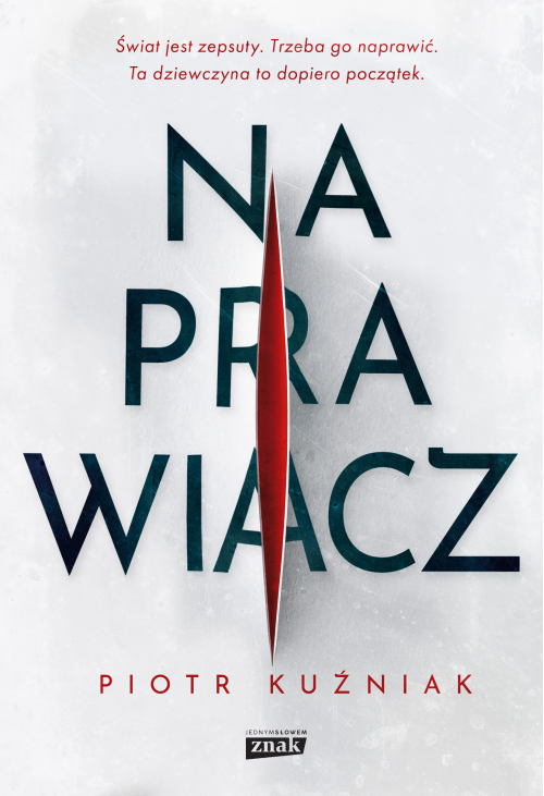 Naprawiacz