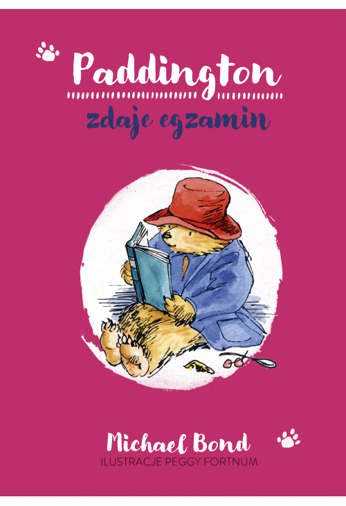Paddington zdaje egzamin