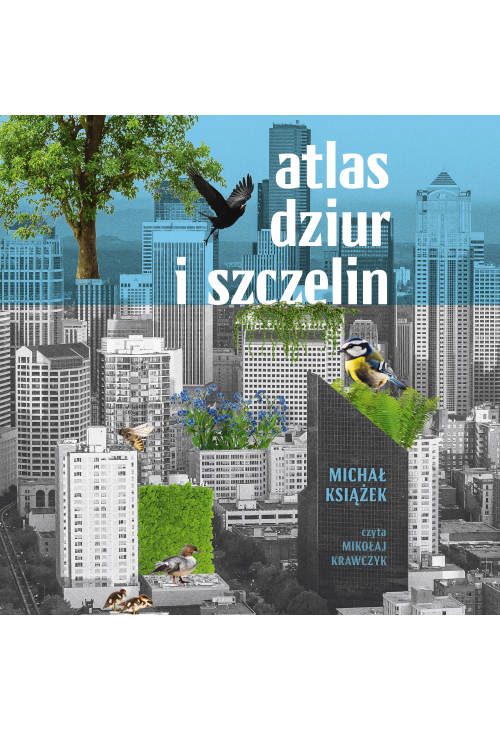 Atlas dziur i szczelin