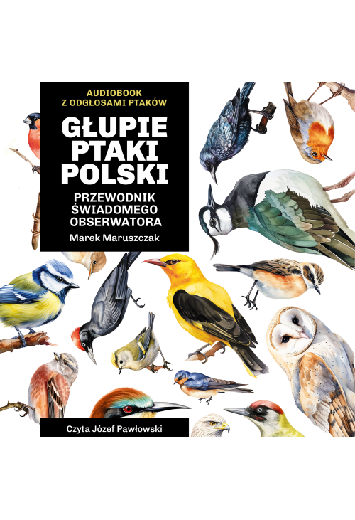 Głupie ptaki Polski. Przewodnik świadomego obserwatora
