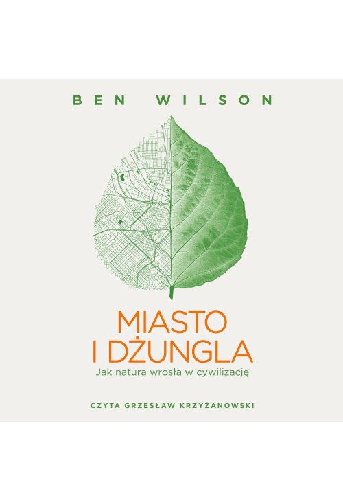 Miasto i dżungla