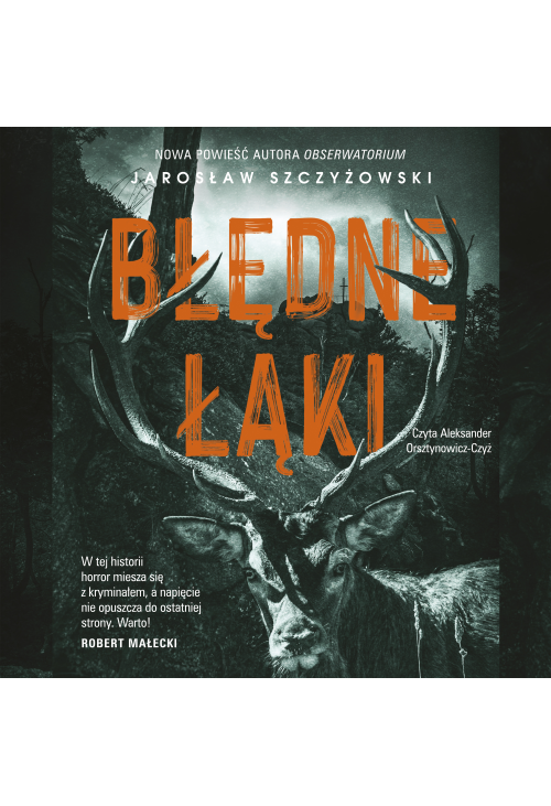 Błędne łąki