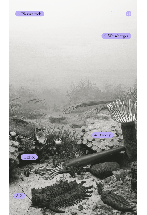 Z rzeczy pierwszych