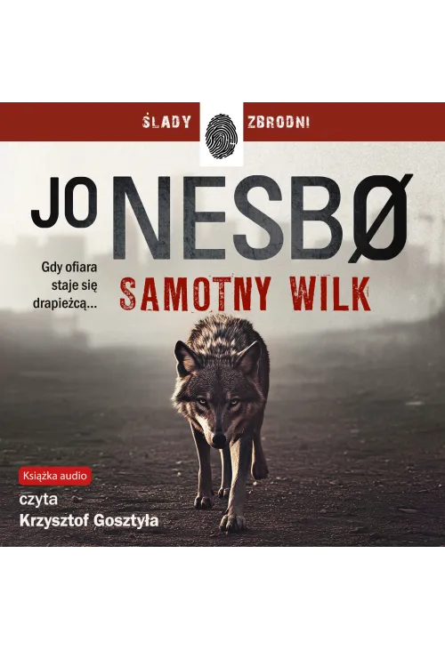 Samotny wilk