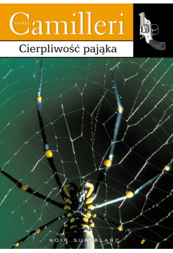 Cierpliwość pająka