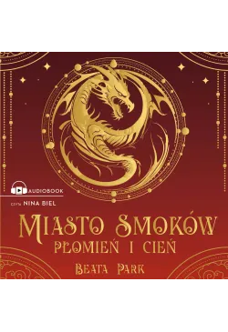Miasto smoków. Płomień i cień