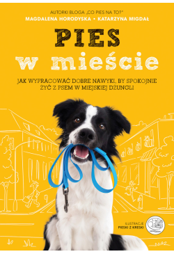 Pies w mieście. Jak...