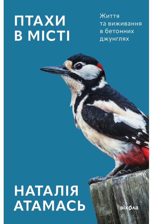 Птахи в місті