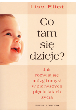 Co tam się dzieje? Jak...