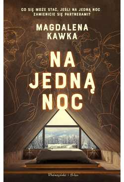Na jedną noc