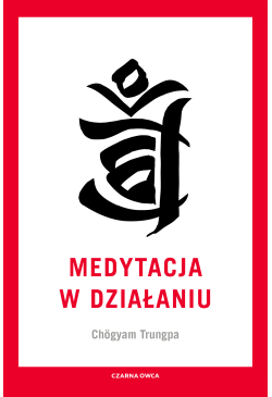 Medytacja w działaniu