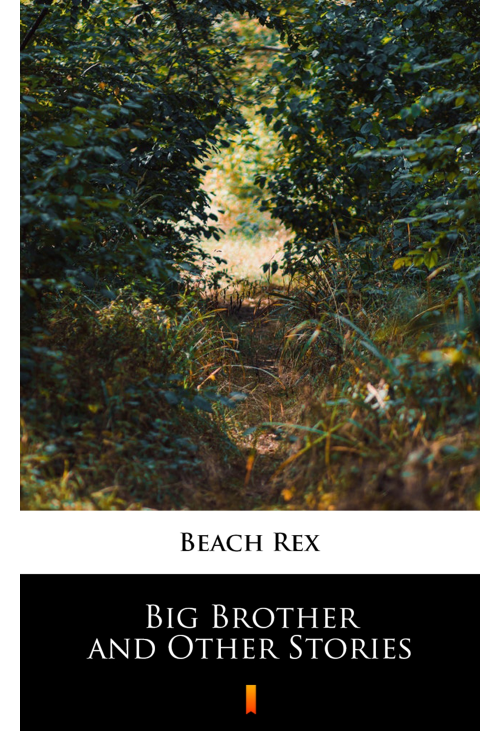 Big Brother and Other Stories