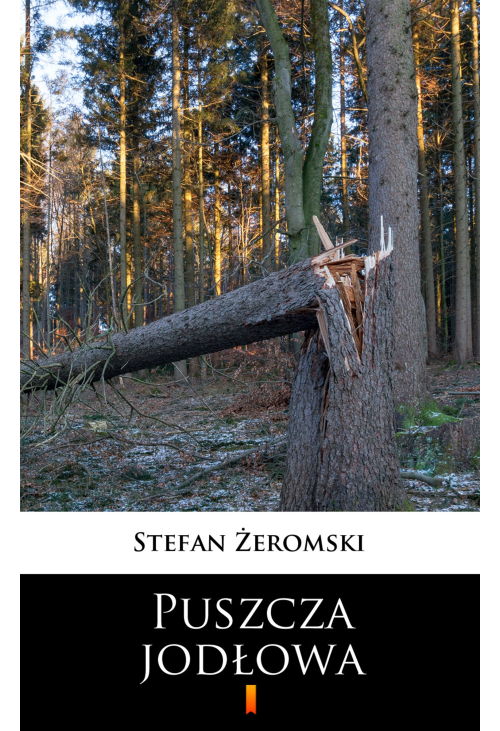 Puszcza jodłowa