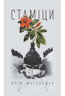 Стаміци