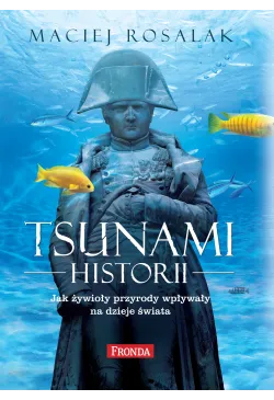 Tsunami historii