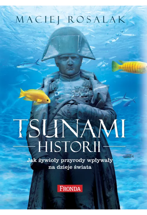 Tsunami historii