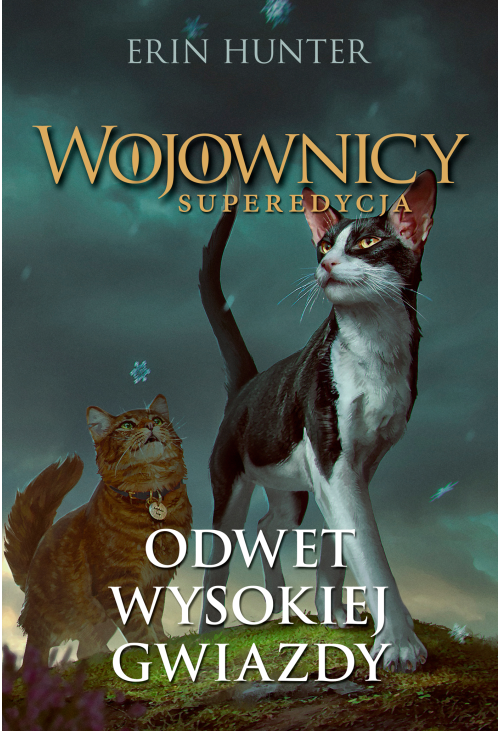 Odwet Wysokiej Gwiazdy