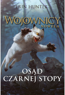 Osąd Czarnej Stopy