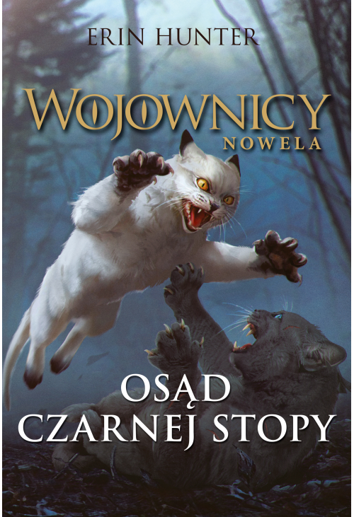 Osąd Czarnej Stopy