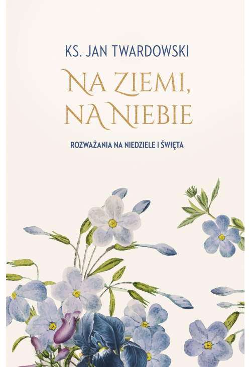 Na ziemi, na niebie. Rozważania na niedziele i święta