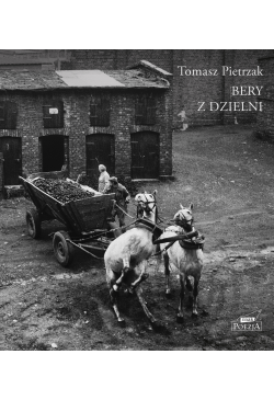 Bery z dzielni