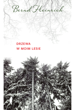Drzewa w moim lesie