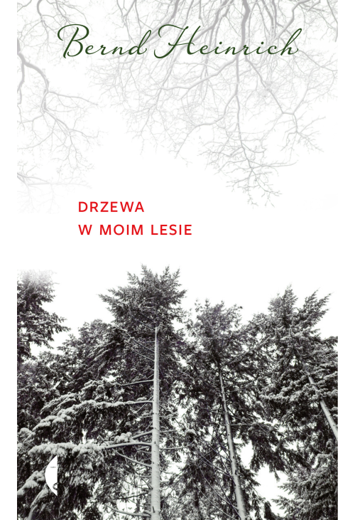 Drzewa w moim lesie