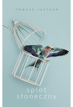 Splot słoneczny