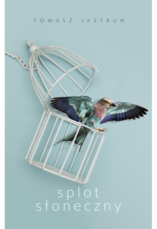 Splot słoneczny
