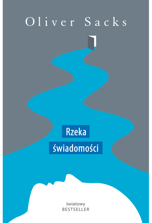 Rzeka świadomości