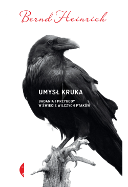 Umysł kruka
