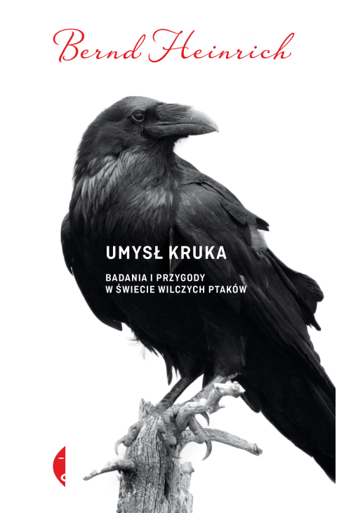 Umysł kruka