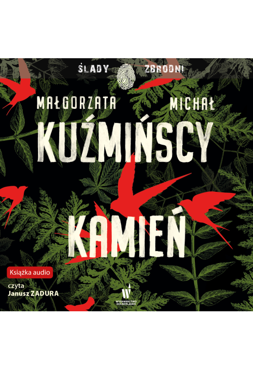 Kamień