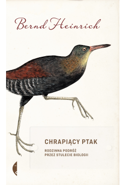 Chrapiący ptak