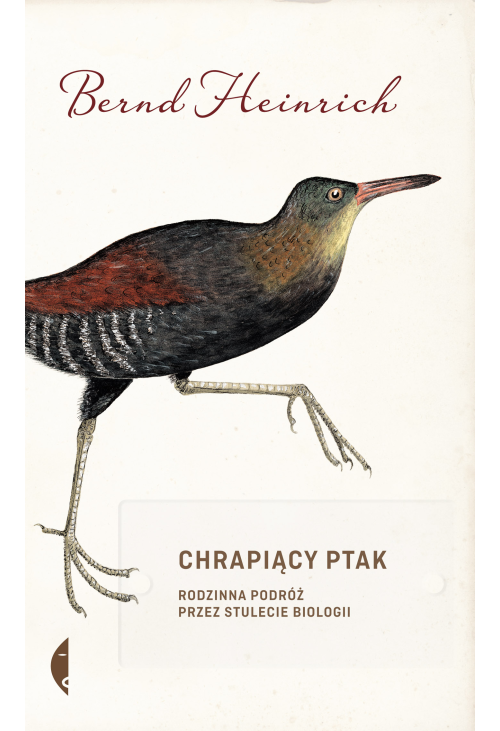 Chrapiący ptak