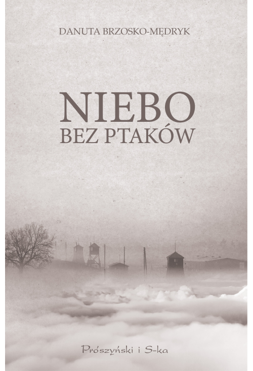 Niebo bez ptaków